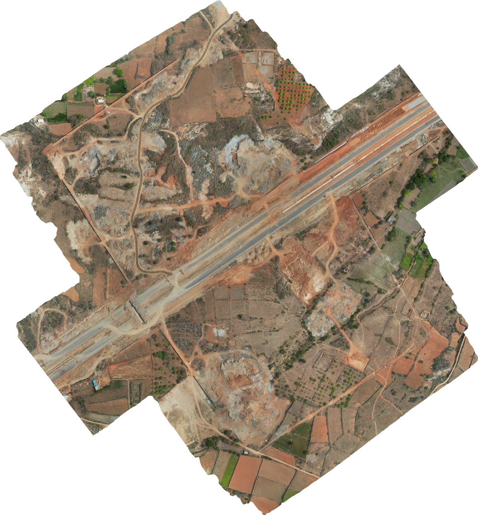 Orthomosaics image